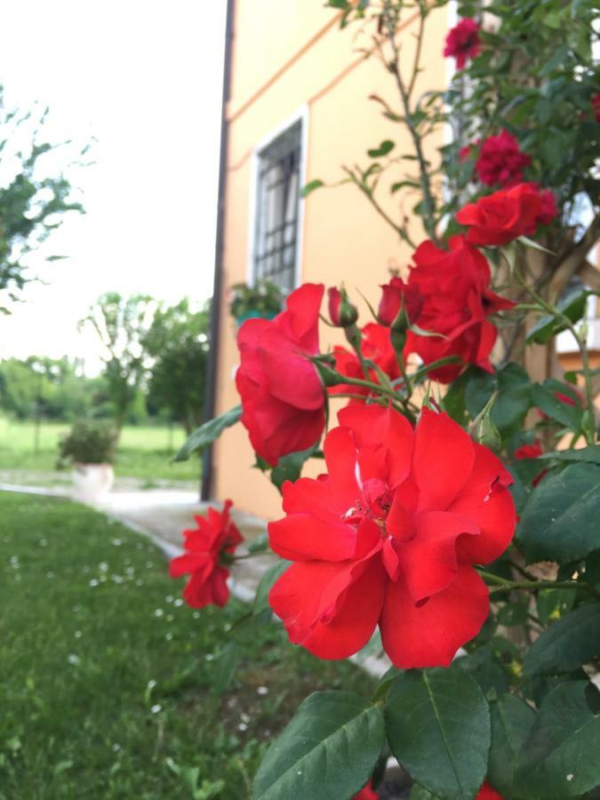 Il "Green " In Giardino Ferrara Eksteriør billede